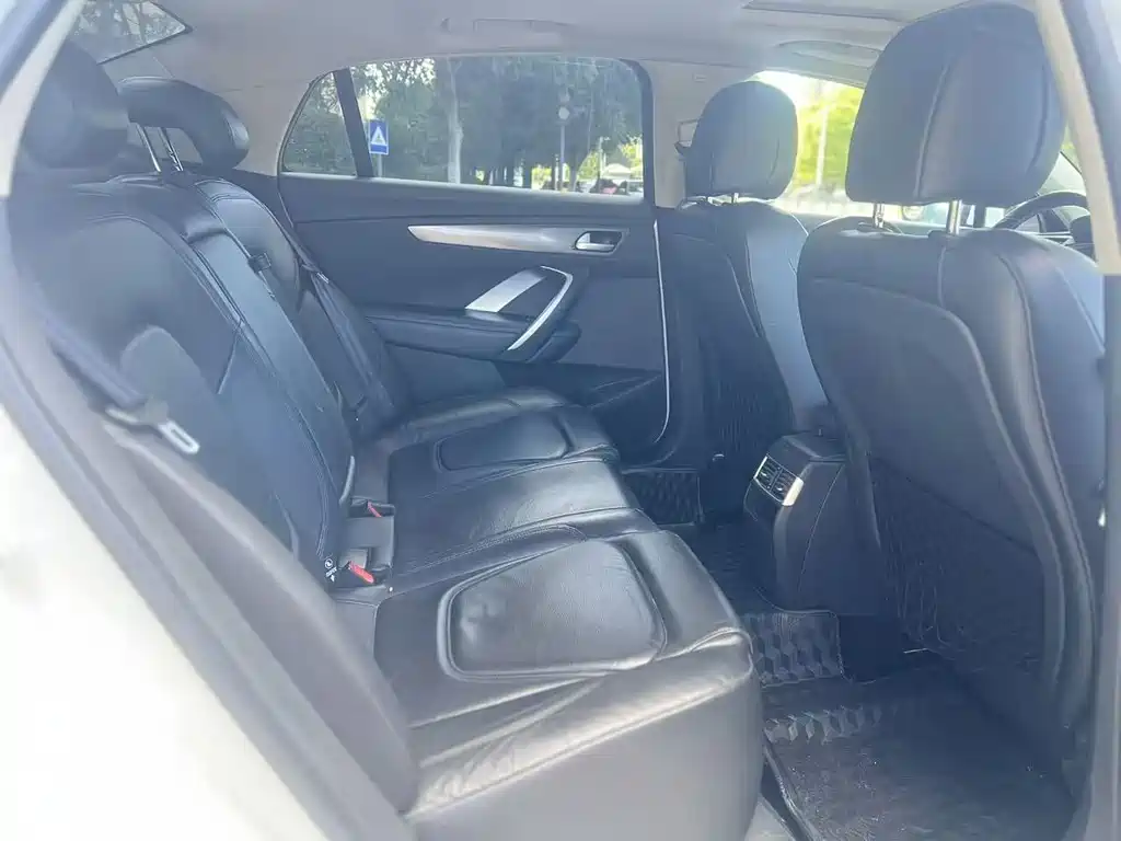 DS DS 5LS — миниатюра 11