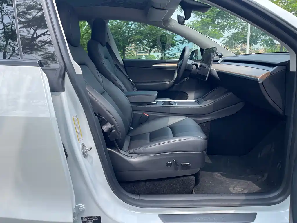 Tesla Model Y — миниатюра 10