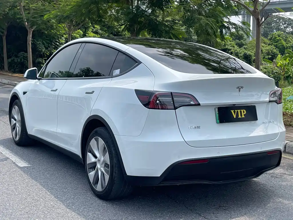 Tesla Model Y — миниатюра 6