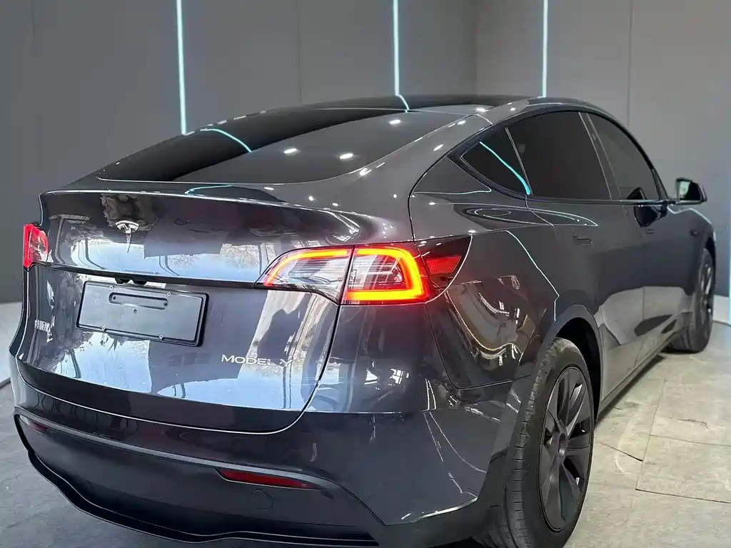 Tesla Model Y — миниатюра 6