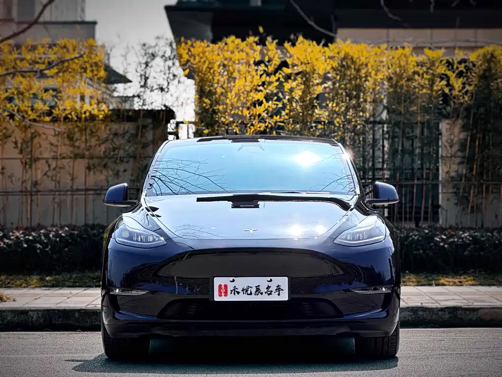 Tesla Model Y — миниатюра 2