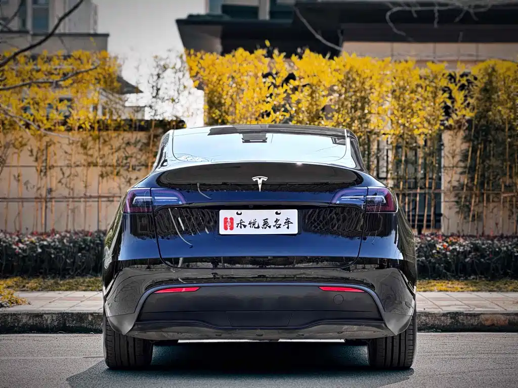Tesla Model Y — миниатюра 12