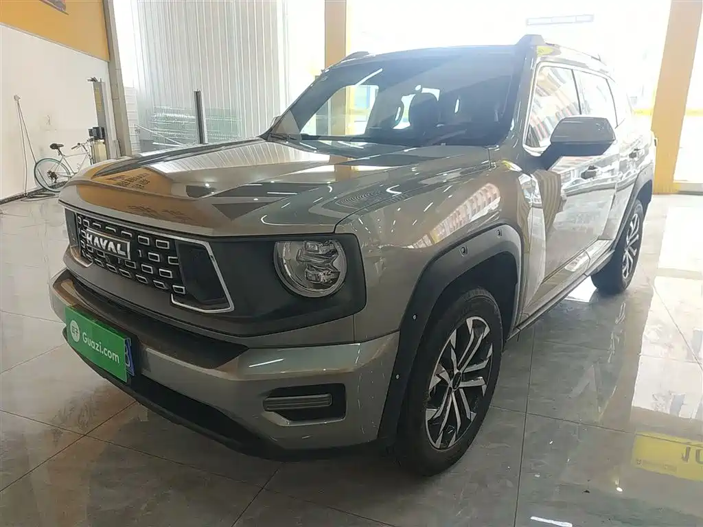 Haval 哈弗大狗 PLUS 2024