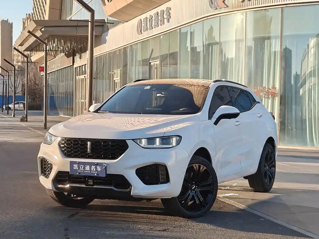 WEI PAI WEI BRAND VV5