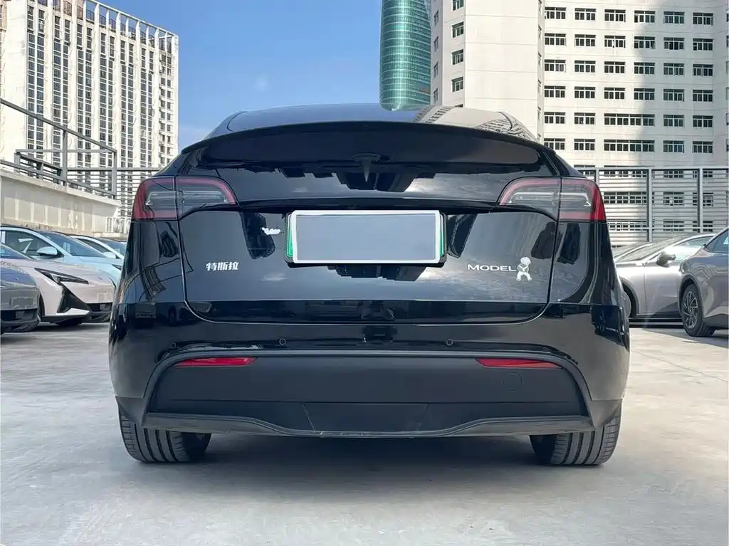 Tesla Model Y — миниатюра 8