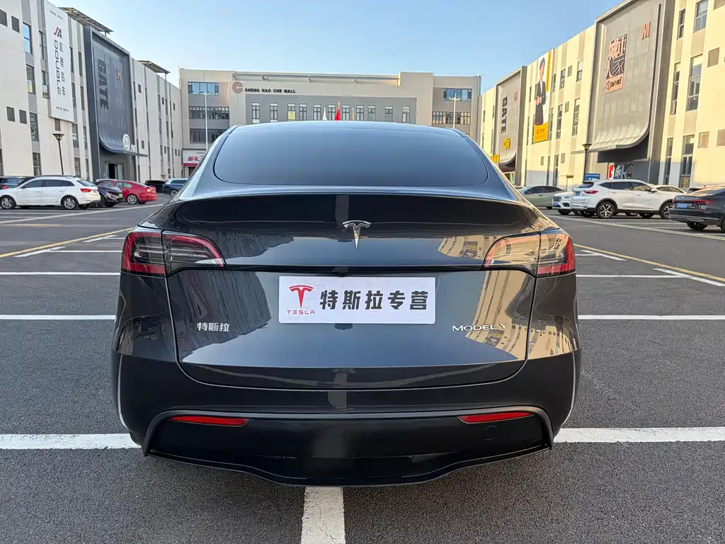 Tesla Model Y — миниатюра 6
