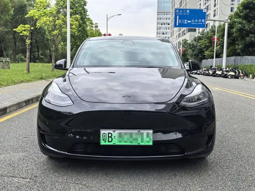 Tesla Model Y — миниатюра 2