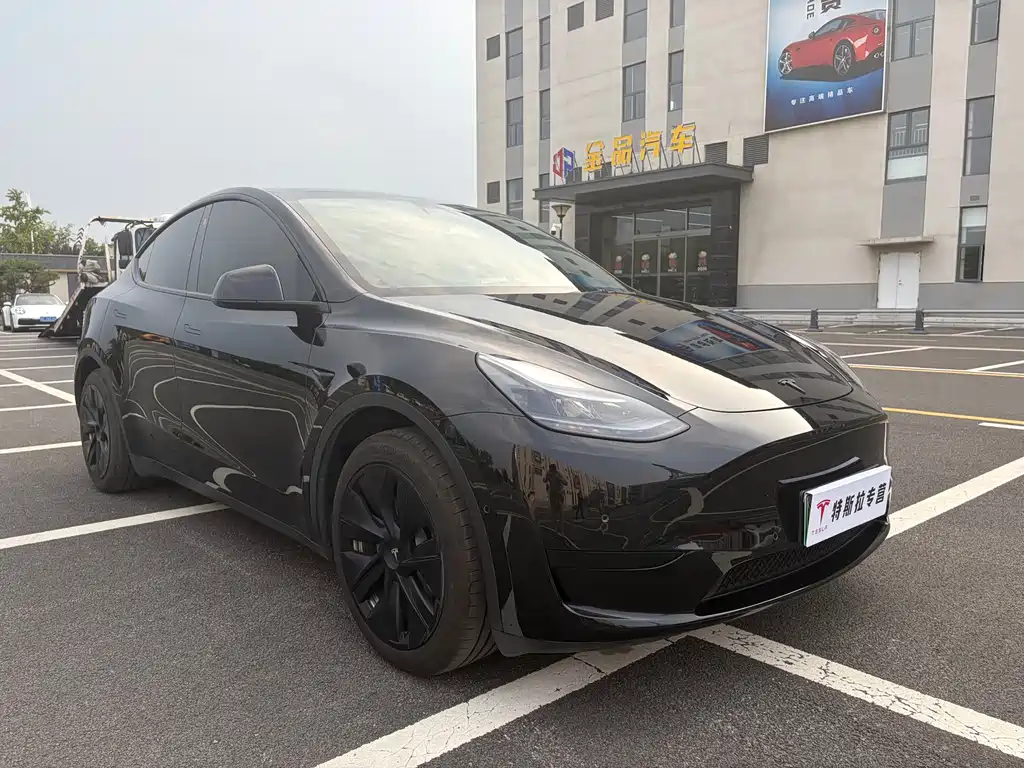 Tesla Model Y — миниатюра 8