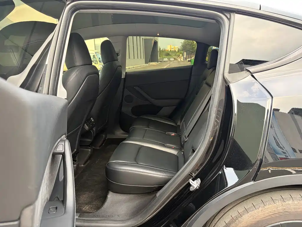Tesla Model Y — миниатюра 10