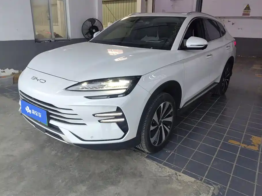 Byd PLUS New Energy 2024