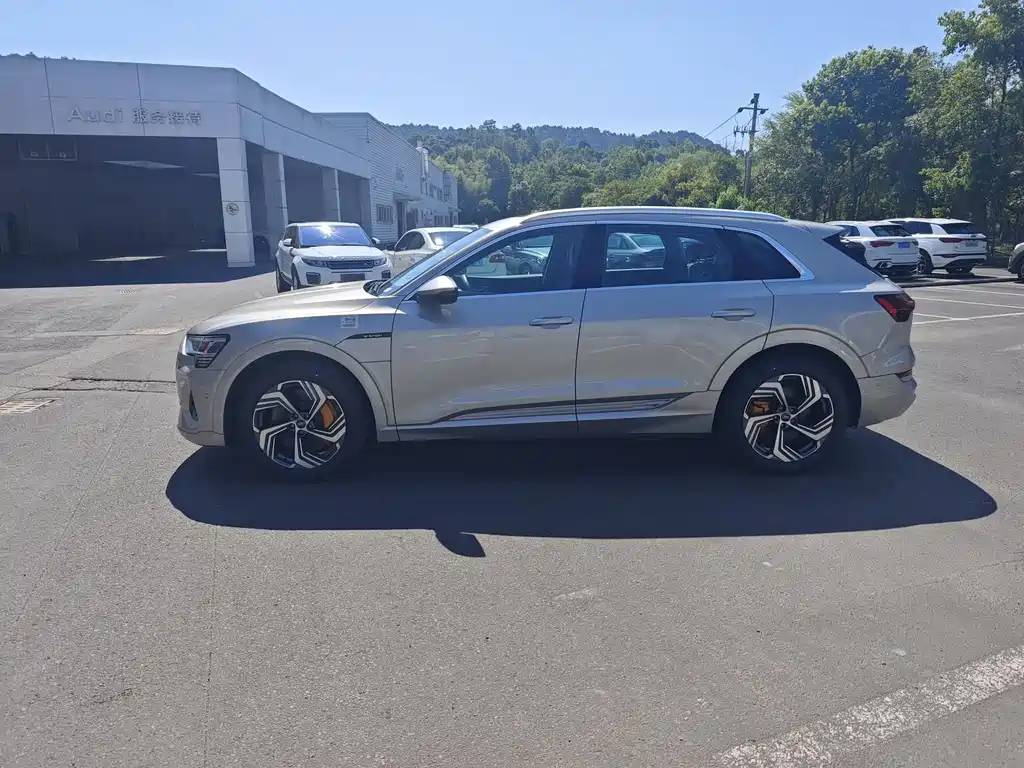 Audi e-tron — миниатюра 7