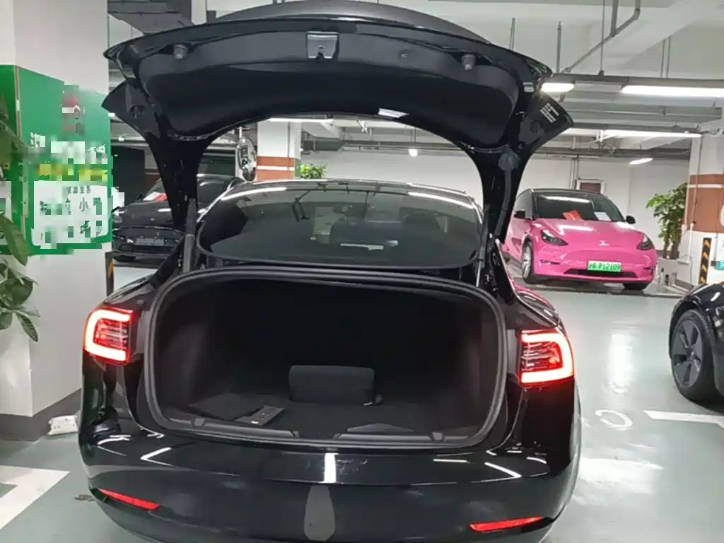 Tesla Model 3 — миниатюра 19
