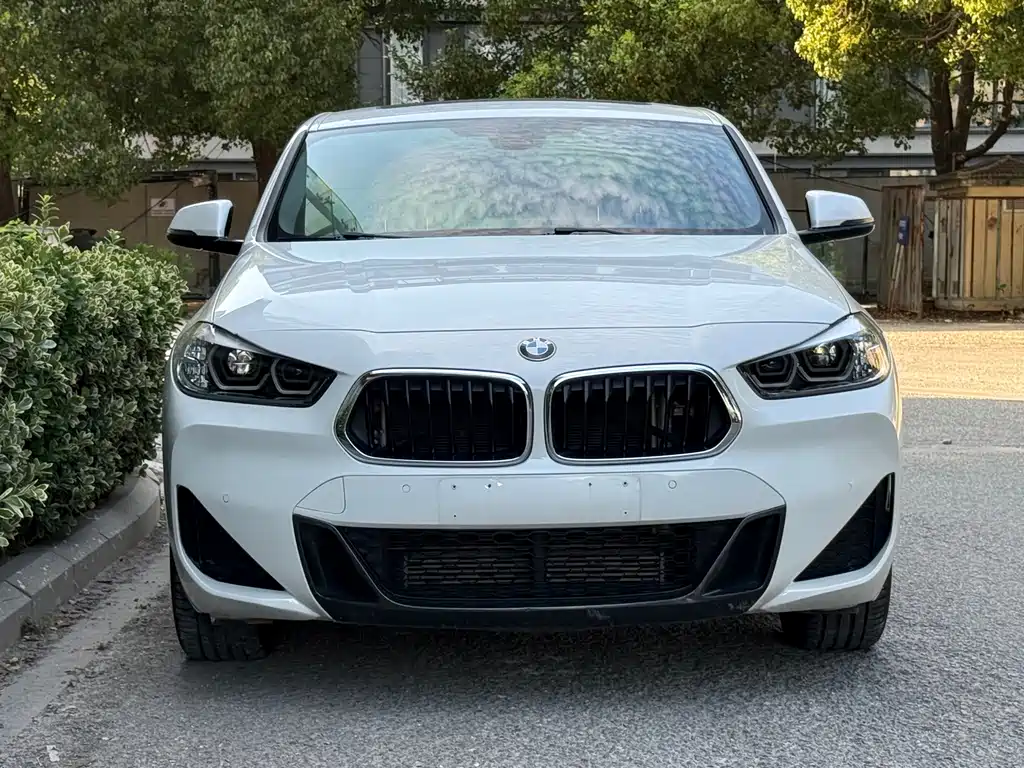 BMW X2 — миниатюра 2