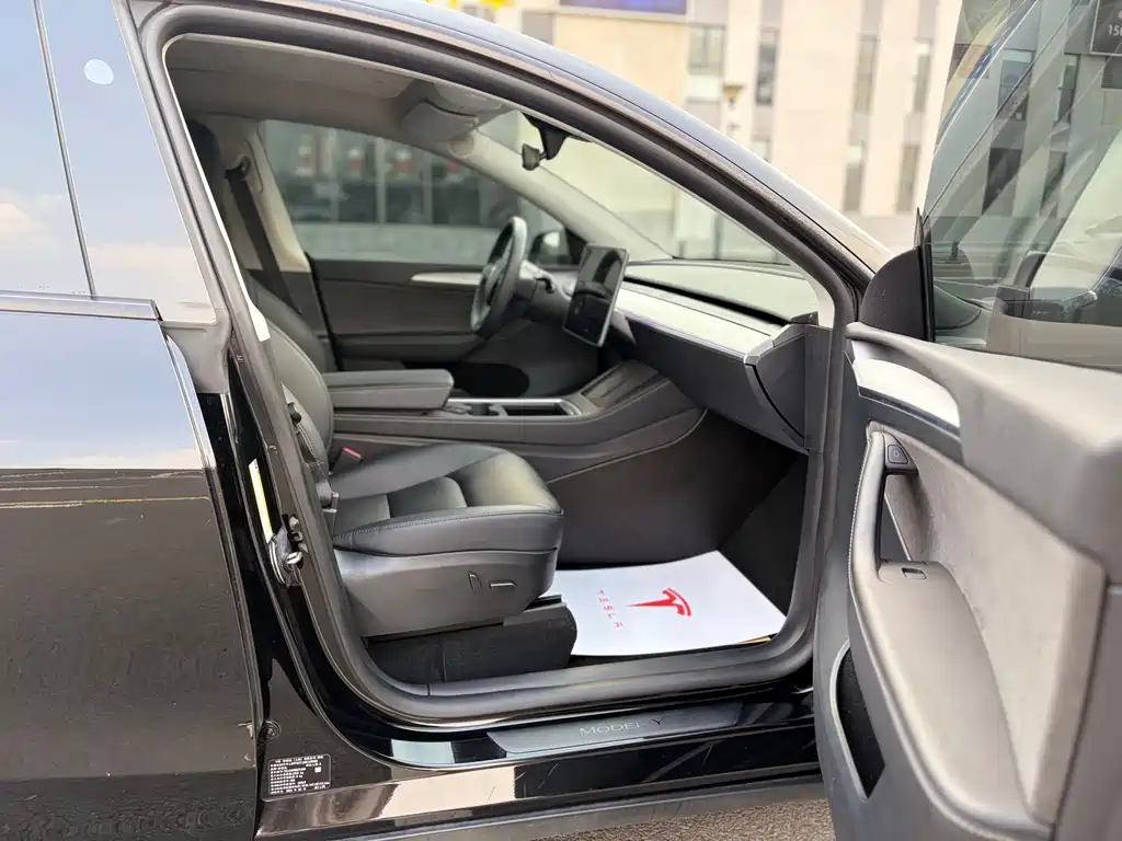 Tesla Model Y — миниатюра 12
