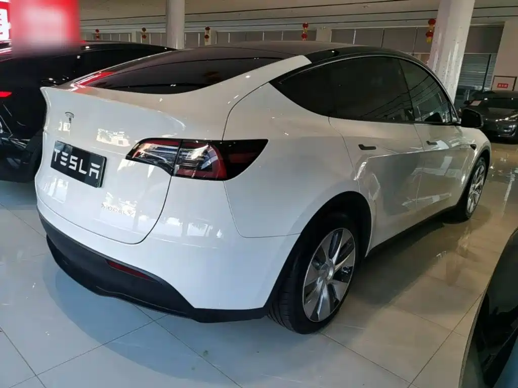 Tesla Model Y — миниатюра 7