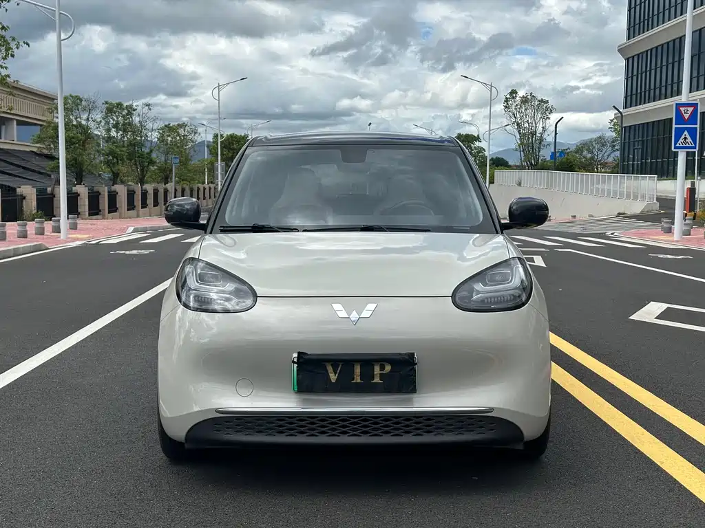 Wuling Binguo 2023 410km Premium