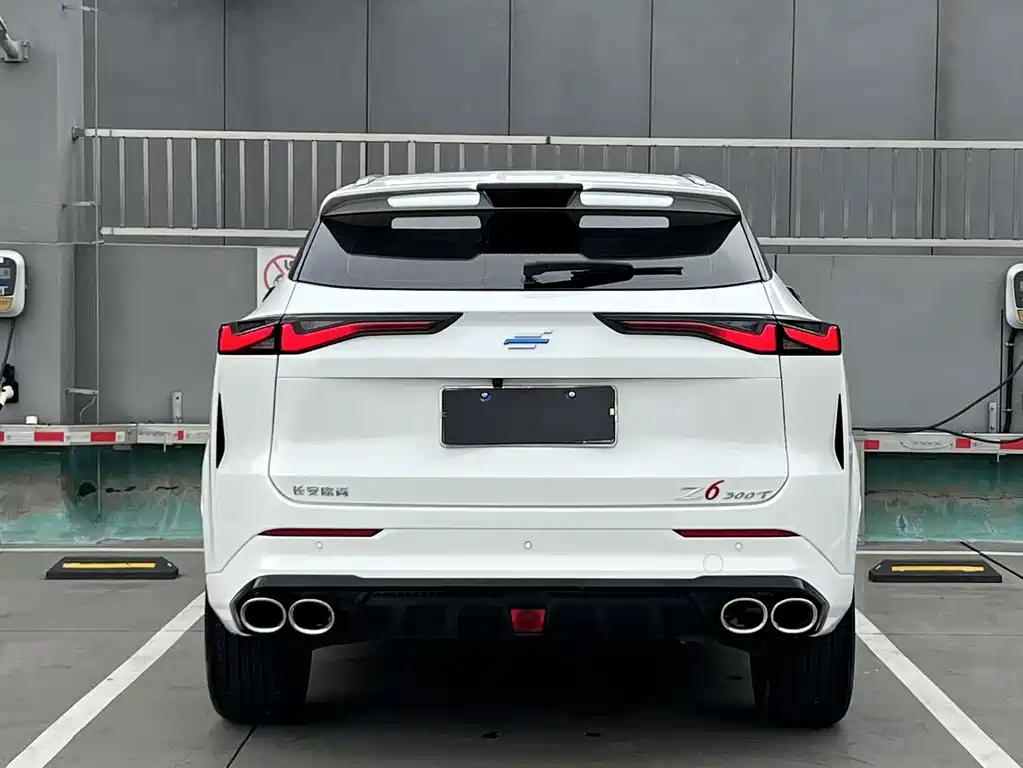 Oshan Oushang Z6 — миниатюра 5