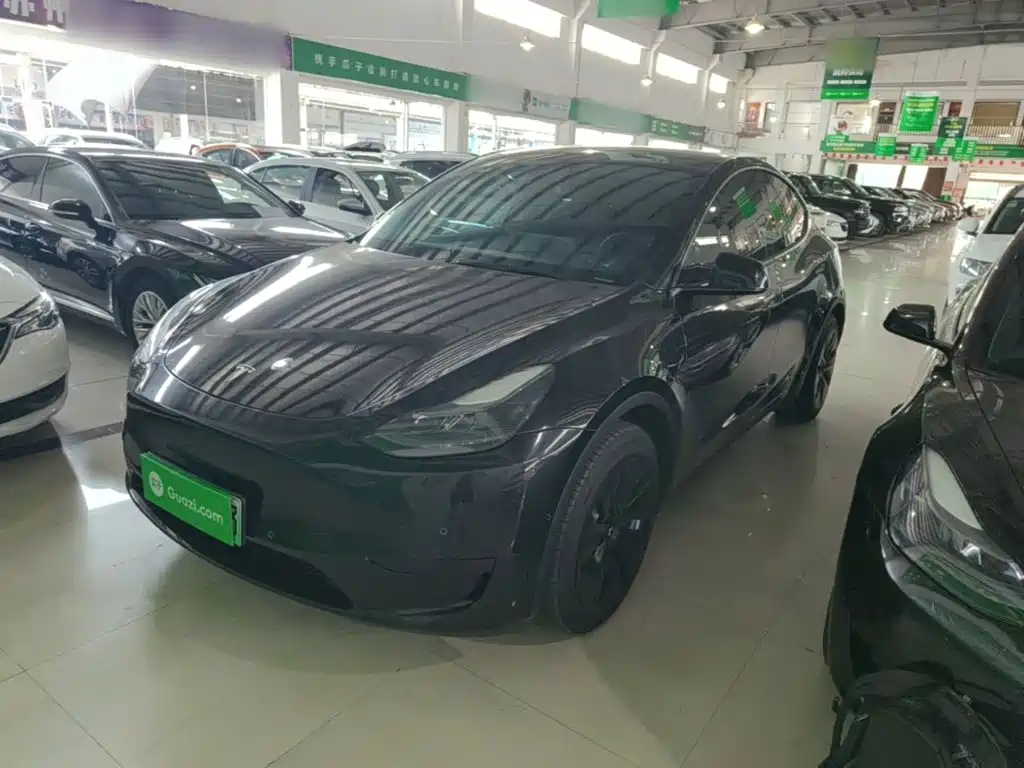 Tesla Model Y — миниатюра 2