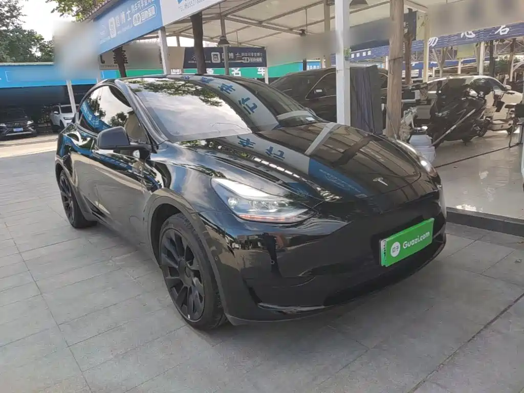 Tesla Model Y — миниатюра 4