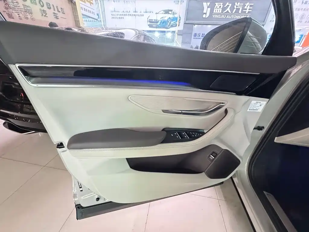 BYD SONGJIANG NEW ENERGY