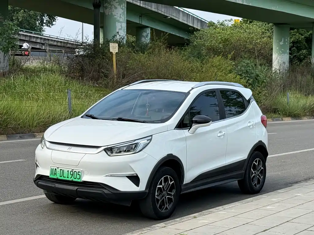 Byd Yuan Pro 2021