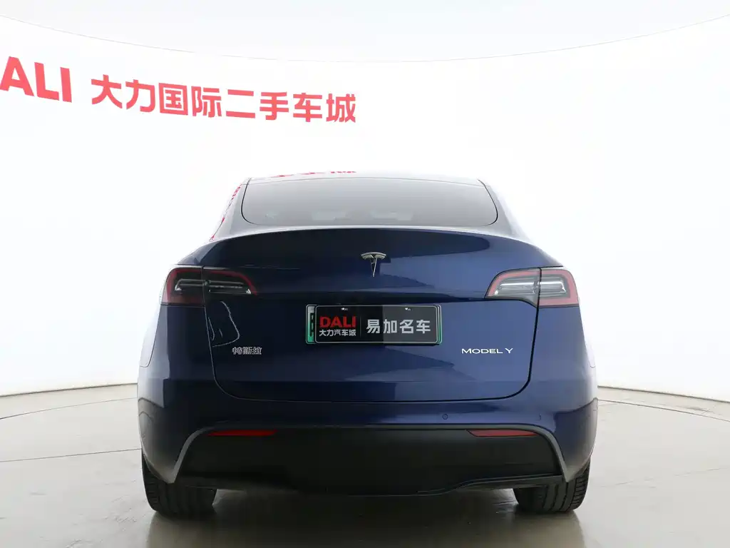 Tesla Model Y — миниатюра 15