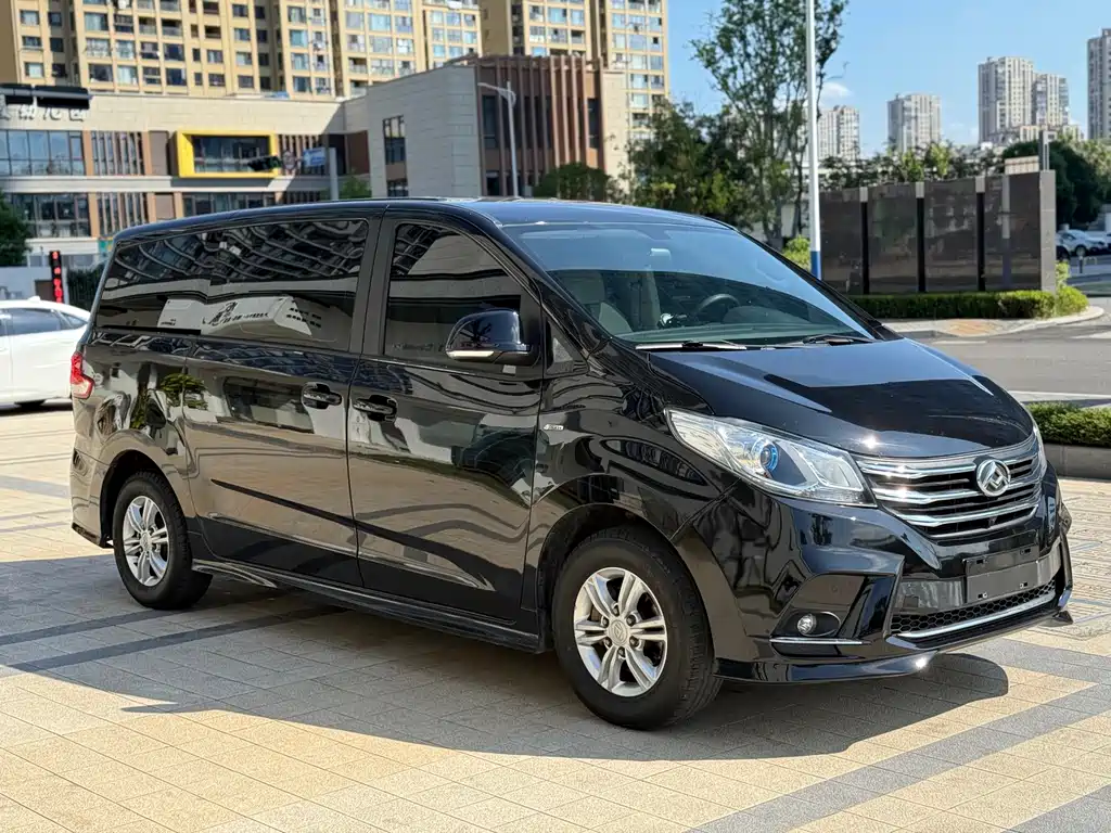 SAIC MAXUS CHASE G10