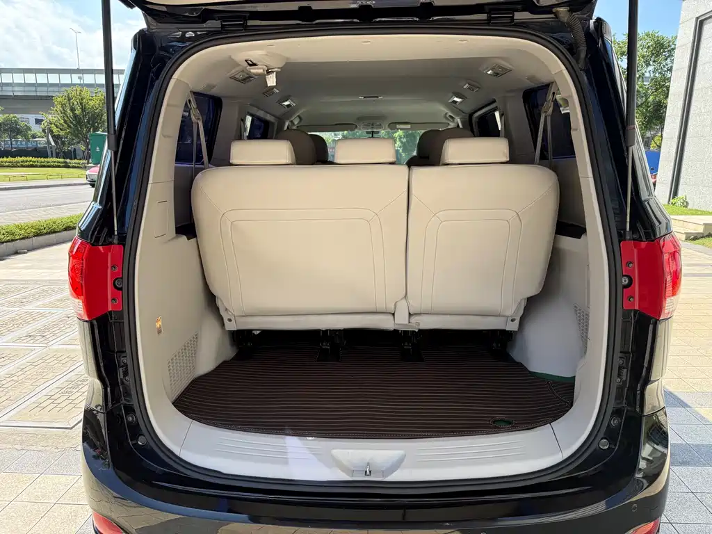 SAIC MAXUS CHASE G10