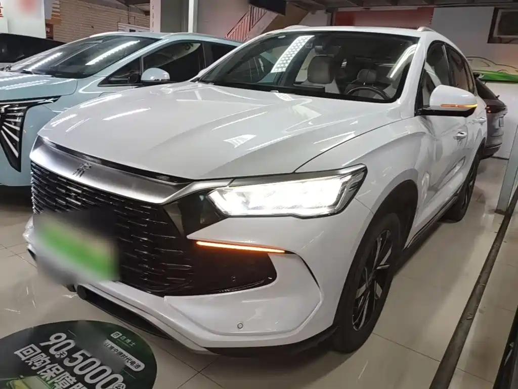 BYD Pro New Energy — миниатюра 2