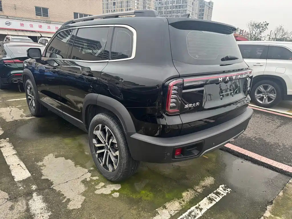 Haval Big Dog — миниатюра 14