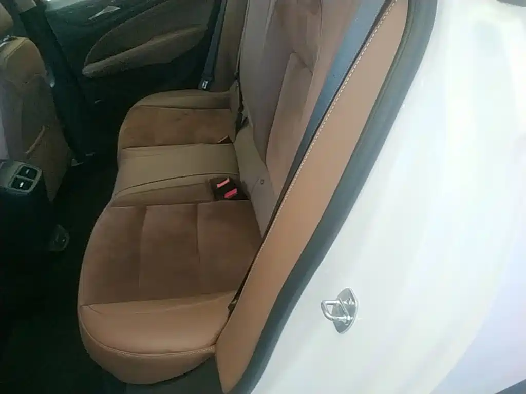 Buick Regal — миниатюра 17