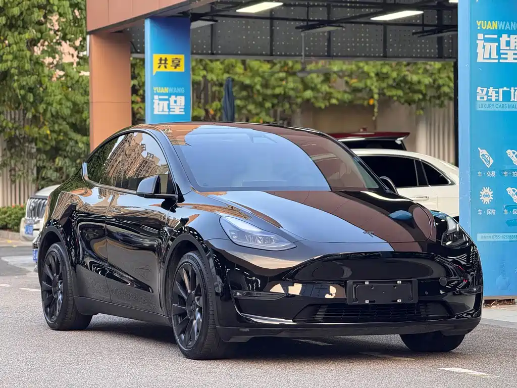 Tesla Model Y — миниатюра 3
