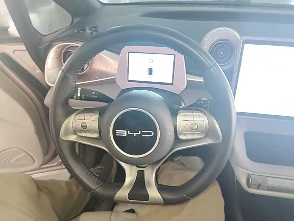 BYD Dolphin — миниатюра 11