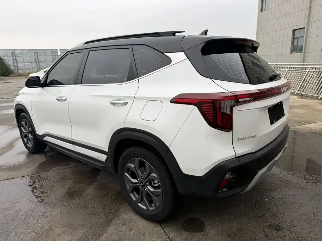 Kia Seltos — миниатюра 6