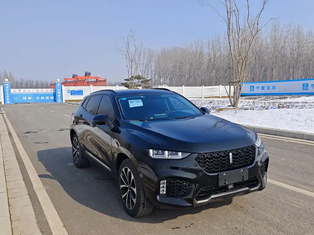 WEI PAI WEI BRAND VV7