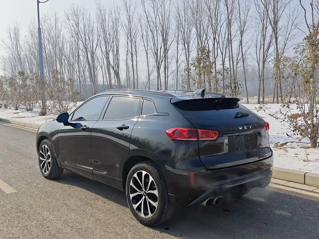 WEI PAI WEI BRAND VV7