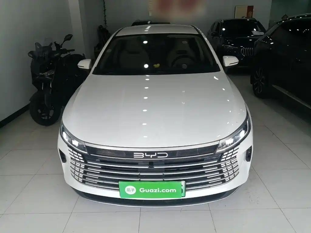 BYD Destroyer 05 2023 Champion DM-i 55KM Luxury