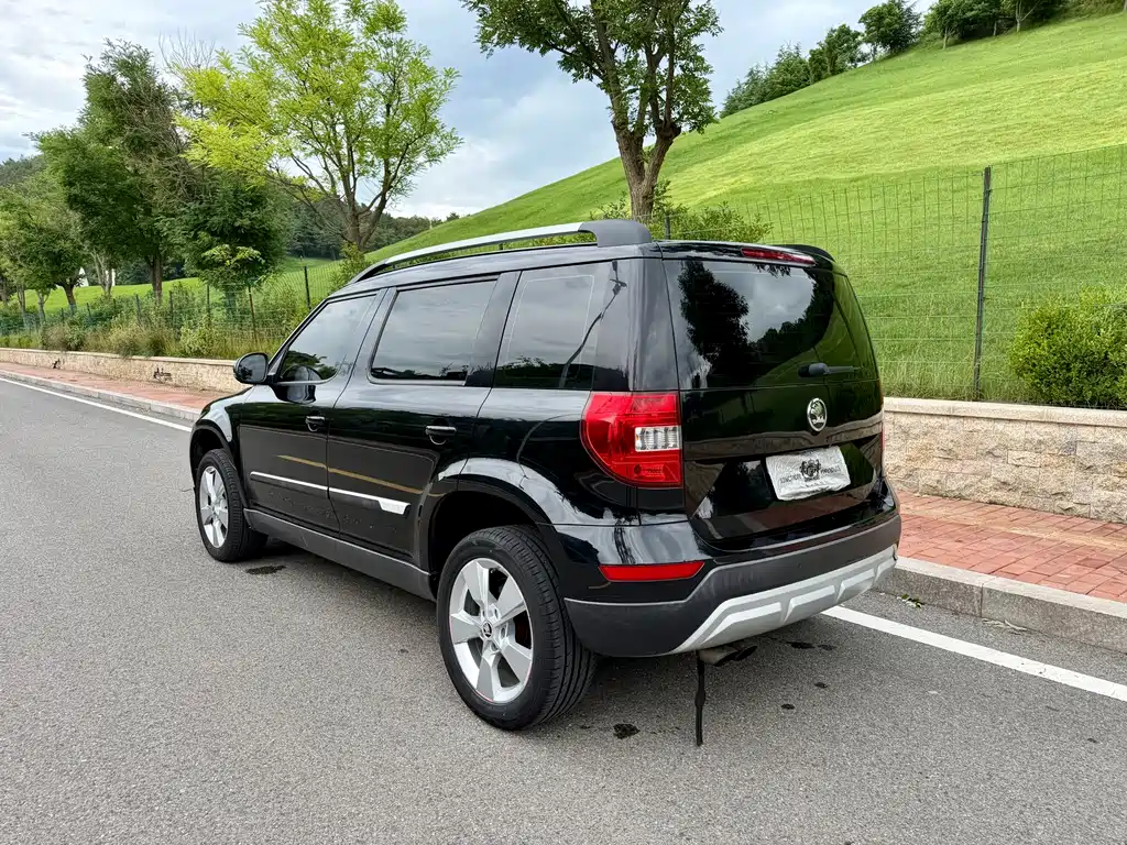 Skoda Yeti 1.8TSI DSG Polar Edition, фото 6