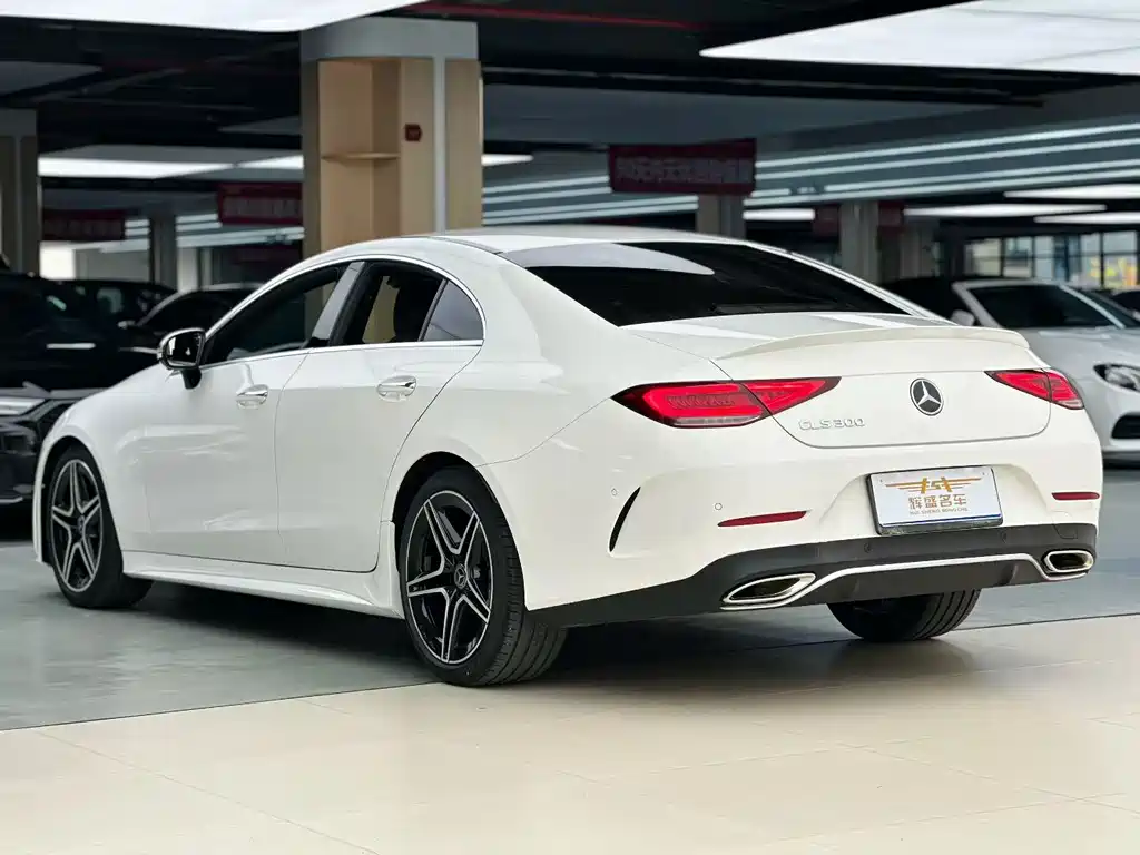 Mercedes-Benz CLS — миниатюра 8