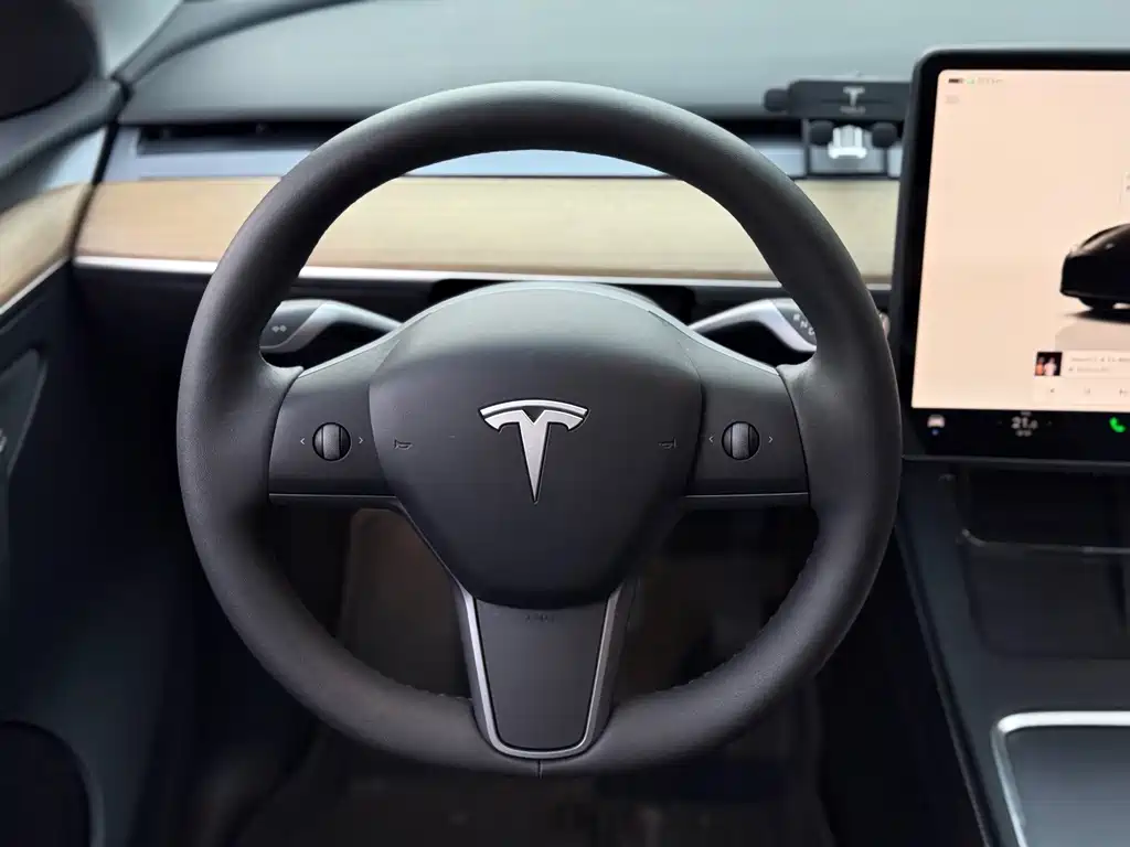 Tesla Model Y — миниатюра 11