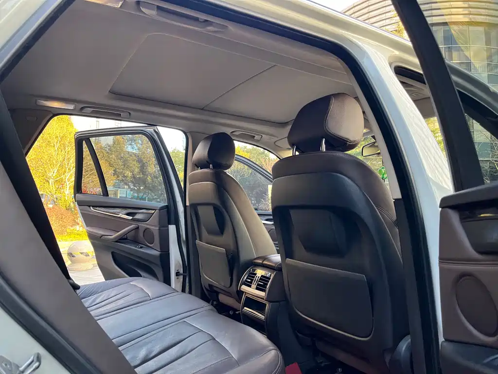 BMW X5 (Import) — миниатюра 10