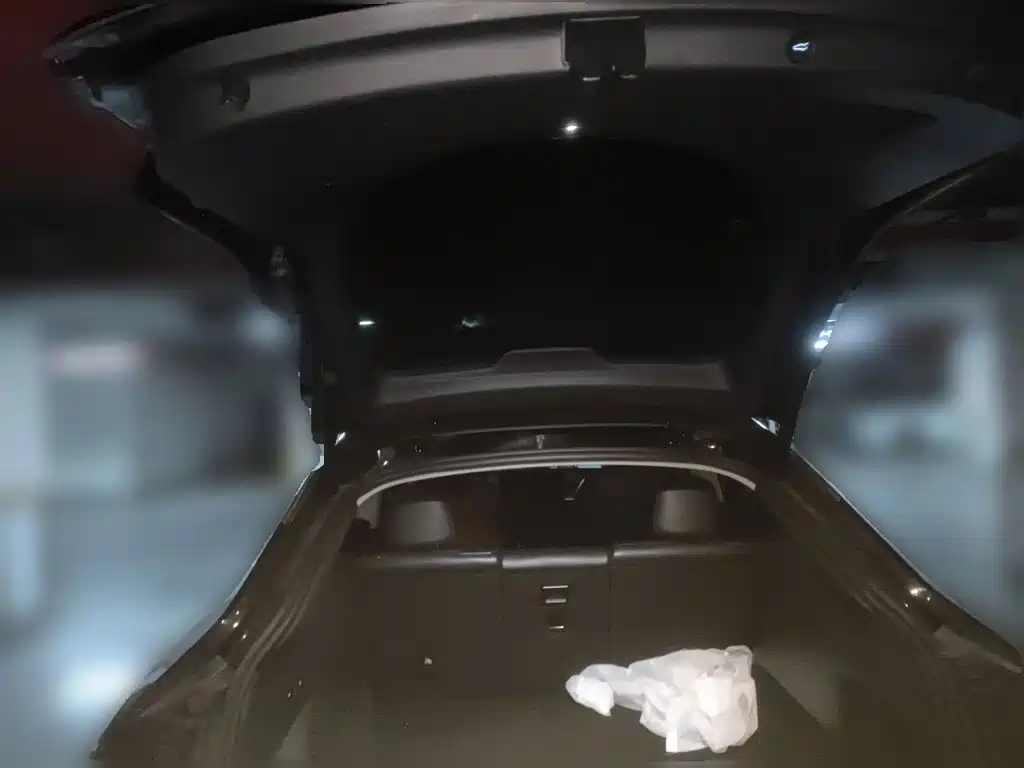 Tesla Model Y — миниатюра 15
