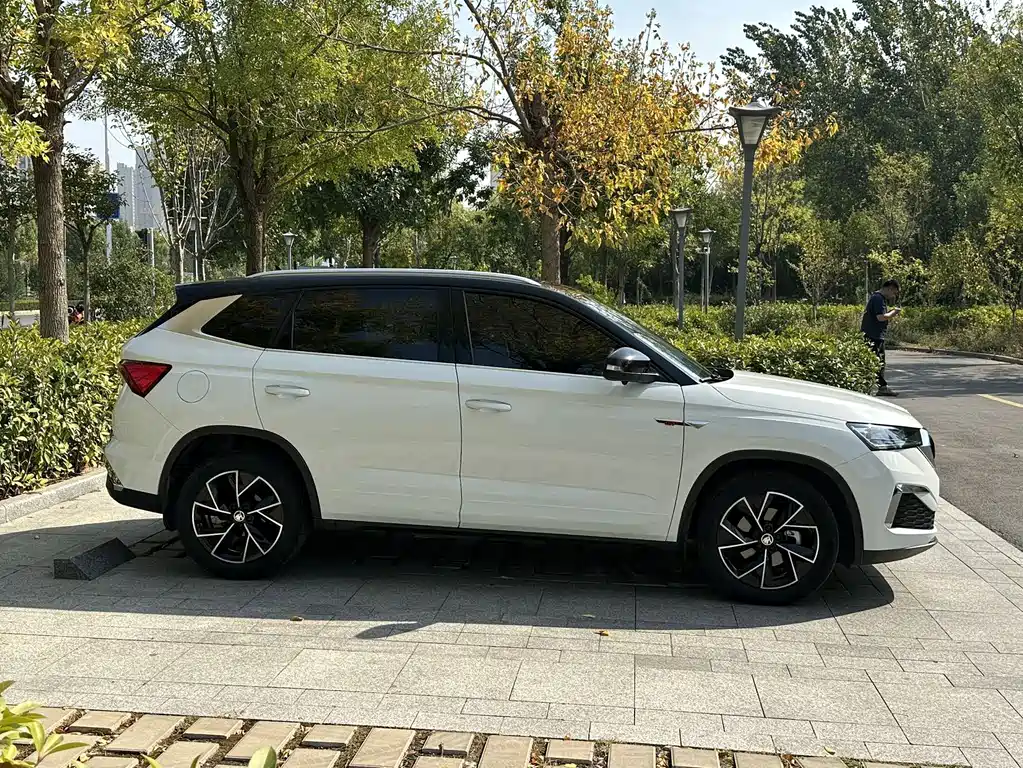 Skoda Kamiq — миниатюра 8
