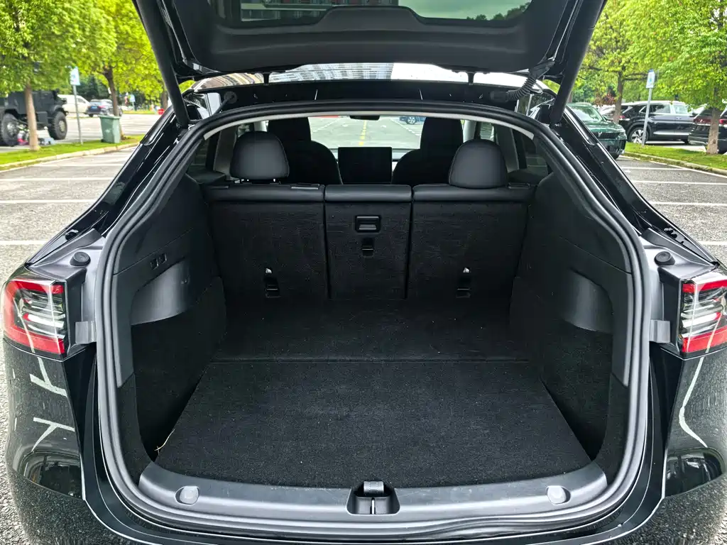 Tesla Model Y — миниатюра 14