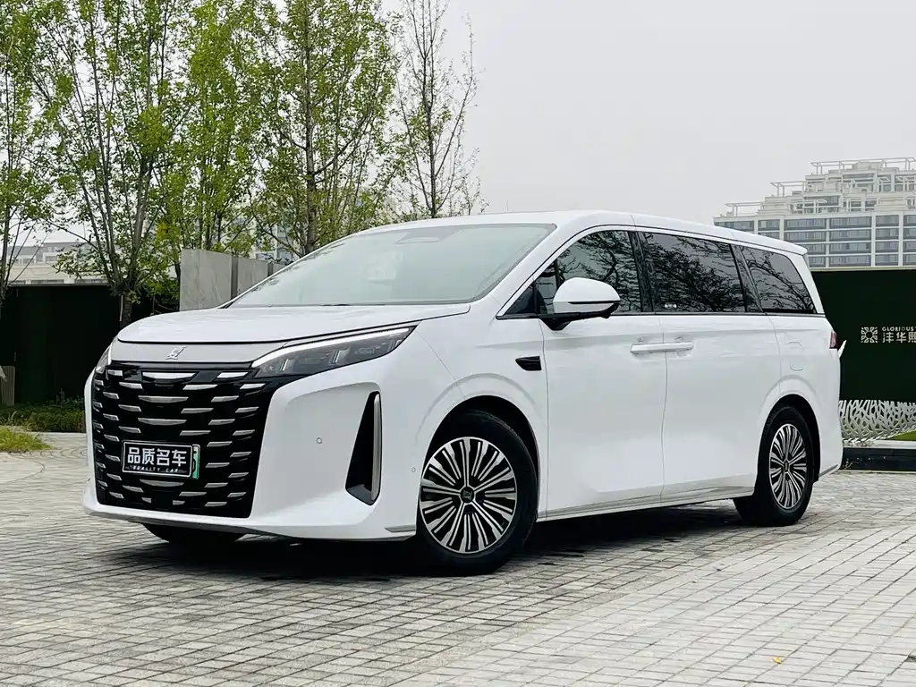 BYD SUMMER