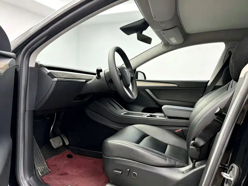Tesla Model Y — миниатюра 4