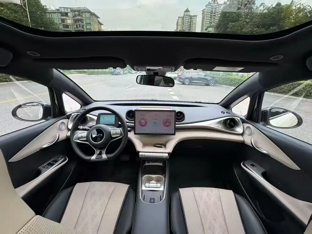 BYD Dolphin 2024 420km Fashion