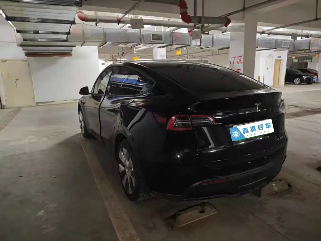 Tesla Model Y — миниатюра 7
