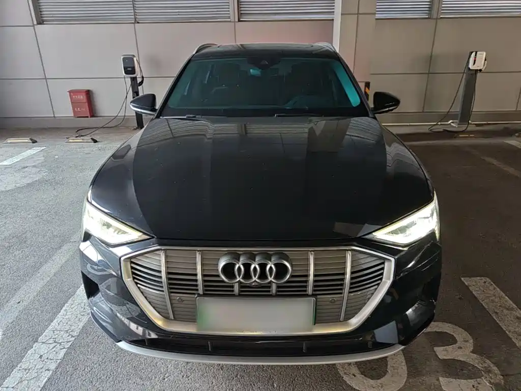 Audi e-tron (Import) — миниатюра 3
