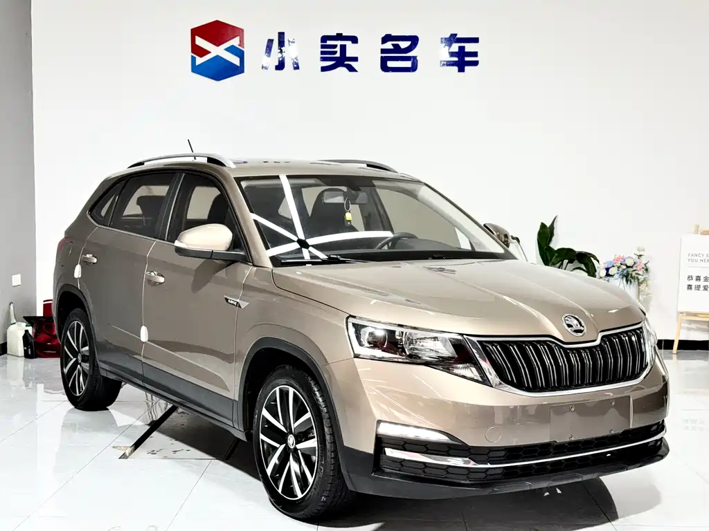 Skoda Kamiq — миниатюра 3